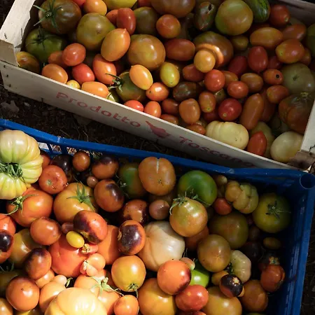 Boutique Poggio Ai Santi - Adults Only Сан-Винченцо